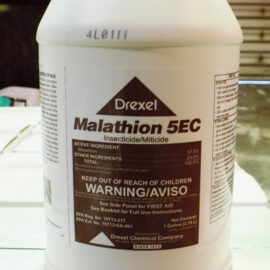 malathion